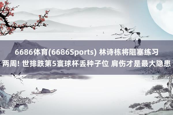 6686体育(6686Sports) 林诗栋将阻塞练习两周! 世排跌第5寰球杯丢种子位 肩伤才是最大隐患