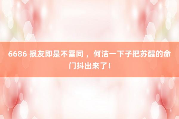6686 损友即是不雷同 ，何洁一下子把苏醒的命门抖出来了！