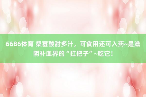 6686体育 桑葚酸甜多汁，可食用还可入药~是滋阴补血界的“扛把子”~吃它！