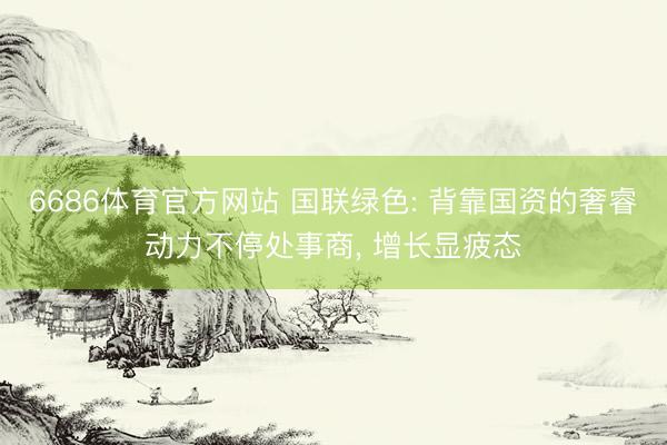 6686体育官方网站 国联绿色: 背靠国资的奢睿动力不停处事商, 增长显疲态