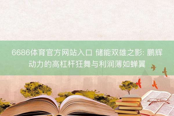 6686体育官方网站入口 储能双雄之影: 鹏辉动力的高杠杆狂舞与利润薄如蝉翼