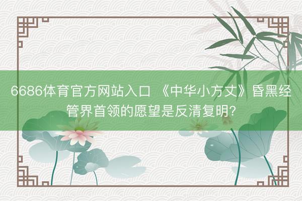 6686体育官方网站入口 《中华小方丈》昏黑经管界首领的愿望是反清复明?