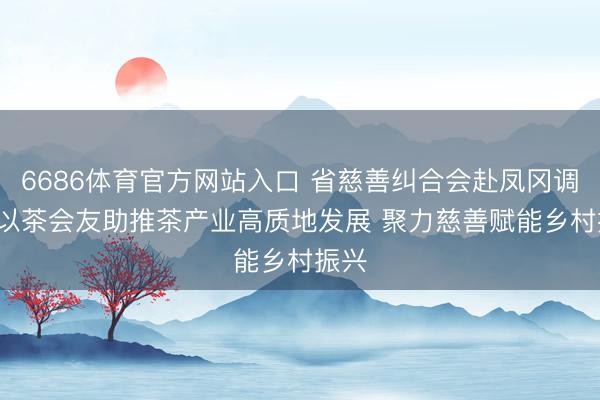 6686体育官方网站入口 省慈善纠合会赴凤冈调研: 以茶会友助推茶产业高质地发展 聚力慈善赋能乡村振兴