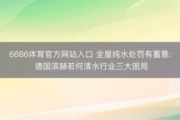 6686体育官方网站入口 全屋纯水处罚有蓄意: 德国滨赫若何清水行业三大困局