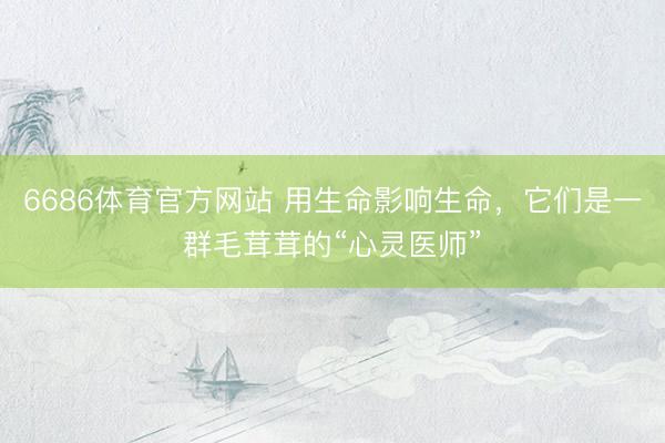 6686体育官方网站 用生命影响生命，它们是一群毛茸茸的“心灵医师”