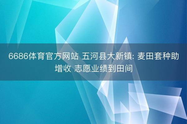 6686体育官方网站 五河县大新镇: 麦田套种助增收 志愿业绩到田间