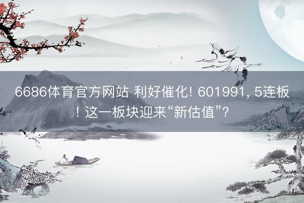 6686体育官方网站 利好催化! 601991， 5连板! 这一板块迎来“新估值”?