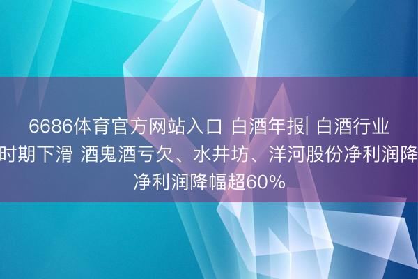 6686体育官方网站入口 白酒年报| 白酒行业合座盈利时期下滑 酒鬼酒亏欠、水井坊、洋河股份净利润降幅超60%