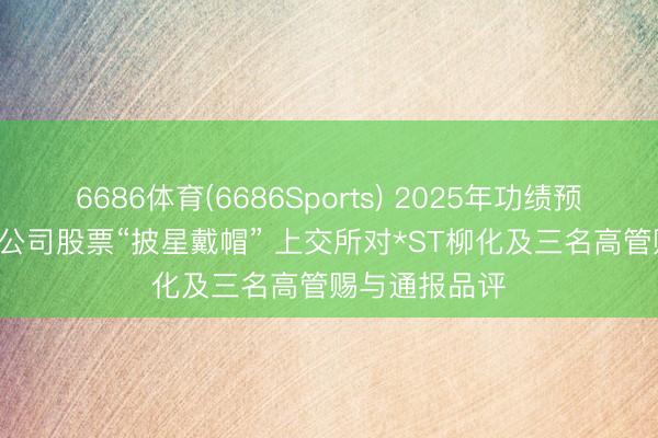 6686体育(6686Sports) 2025年功绩预报“大变脸”， 公司股票“披星戴帽” 上交所对*ST柳化及三名高管赐与通报品评