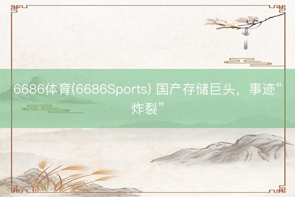 6686体育(6686Sports) 国产存储巨头，事迹“炸裂”