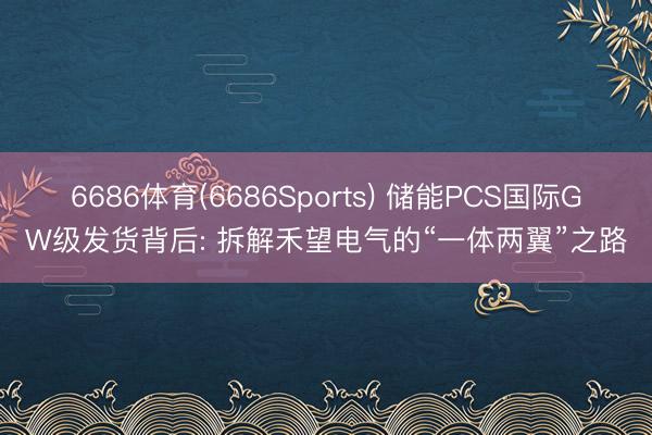 6686体育(6686Sports) 储能PCS国际GW级发货背后: 拆解禾望电气的“一体两翼”之路